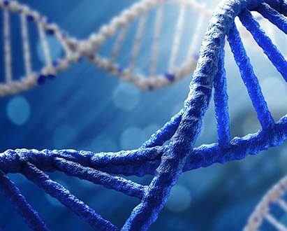 DNA test in seeking results