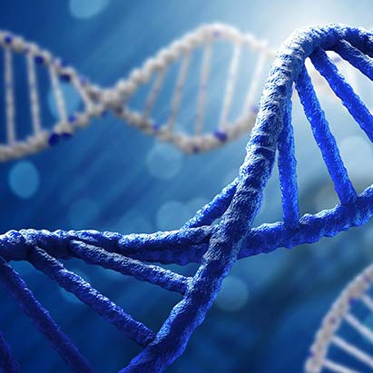 DNA test in seeking results